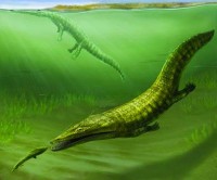 حفريات من 250 مليون عام