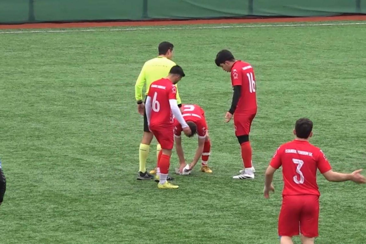 كرة تسقط نورسًا