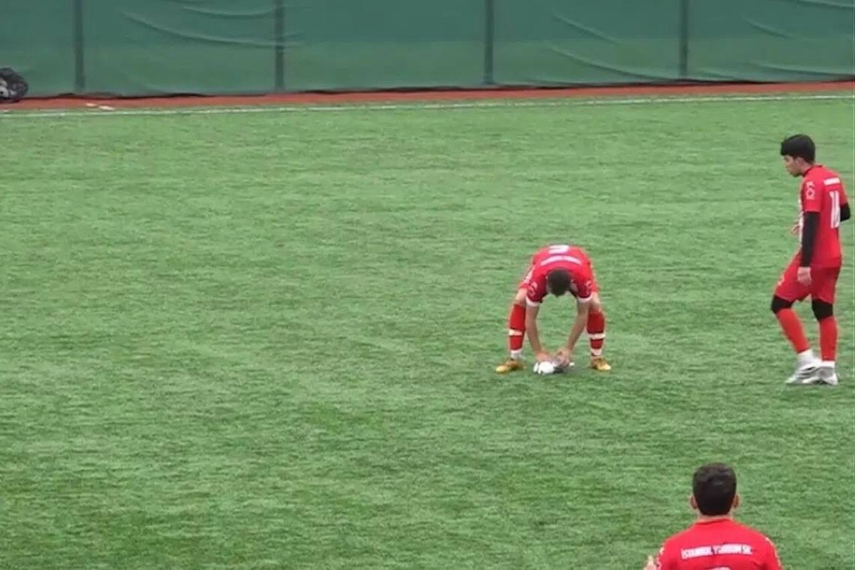 كرة تسقط نورسًا