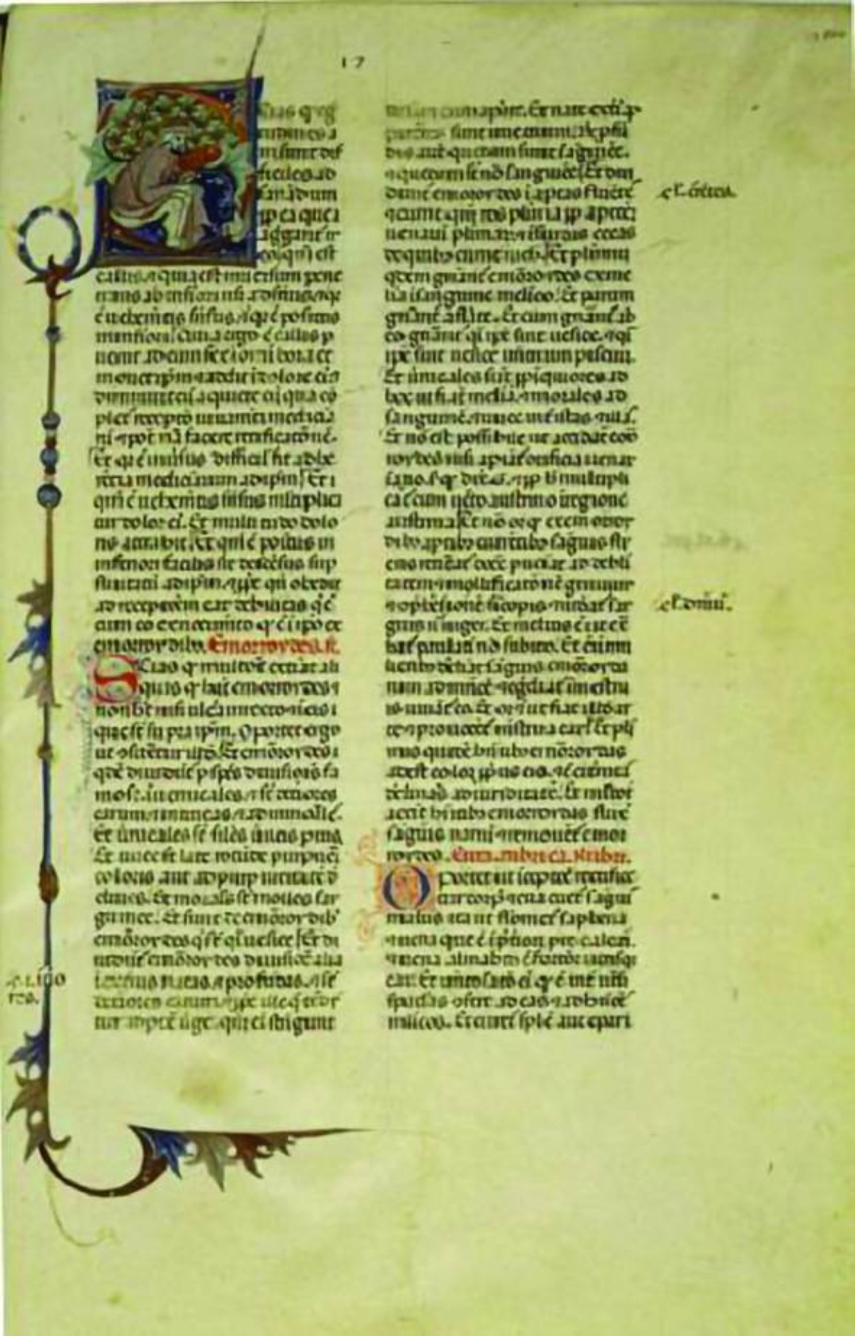 كتاب القانون ترجمة جيرارد كيرموني