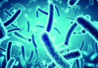 بكتيريا تلتهم الأورام