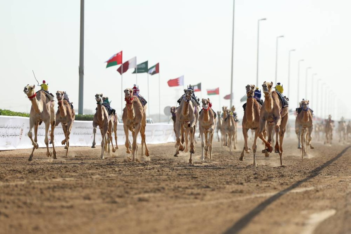 انطلاقة قوية لمنافسات الحقايق في ختامي الوثبة