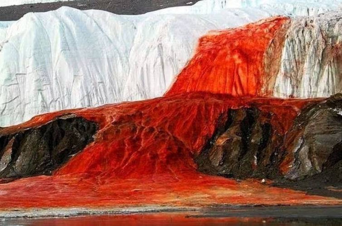 بعد 100 عام من الغموض.. كشف السرّ الحقيقي لشلالات الدم في القطب الجنوبي