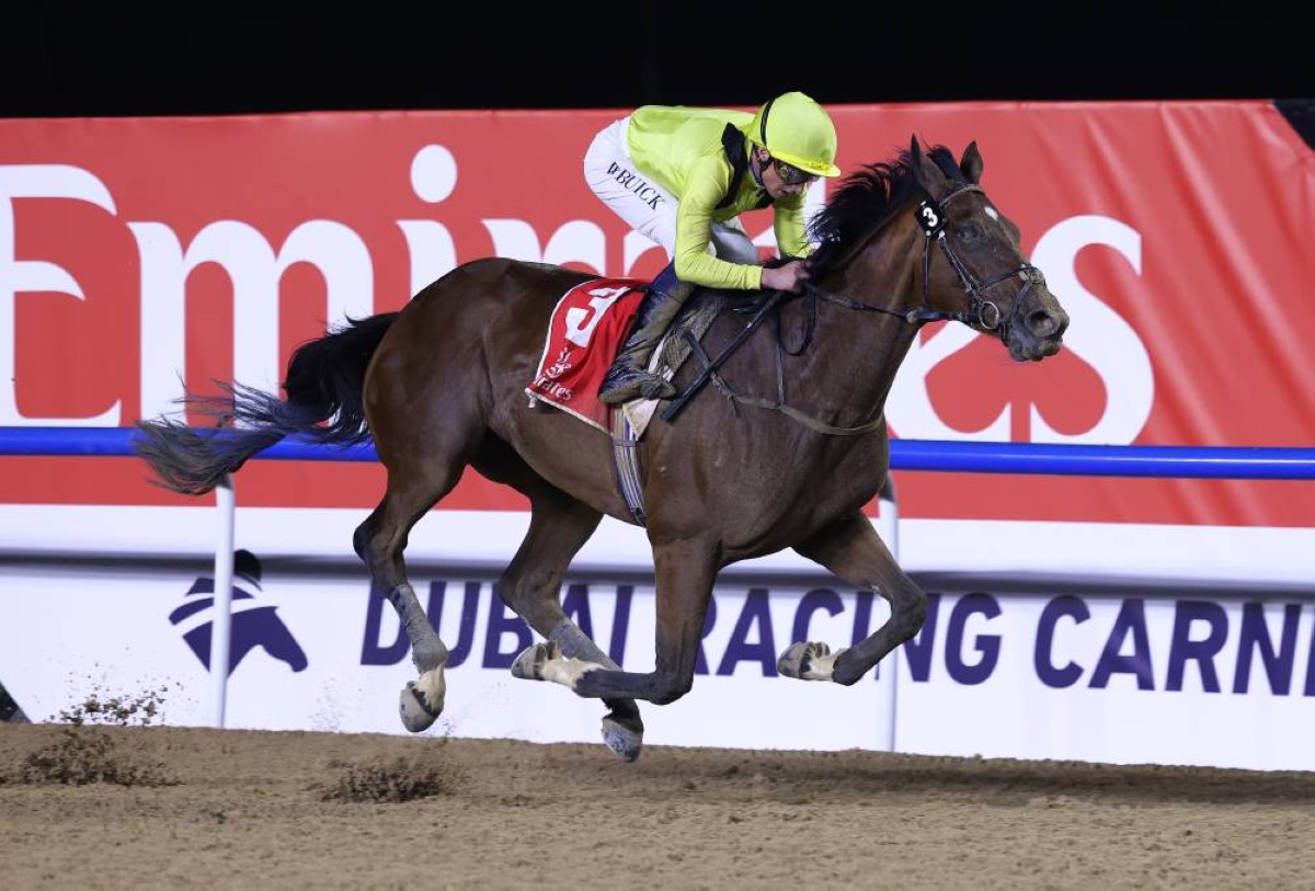 تصوير : زافير ويلسون 