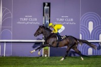 «إلى متى» يحرز لقب سباق «الميل» في مضمار أبوظبي