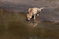 سعاد السويدي.. مهندسة أنقذتها الكاميرا من الوحدة