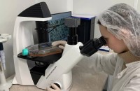 ابتكار يحارب السرطان