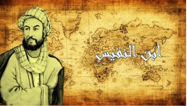 كتاب «شرح تشريح القانون» لابن النفيس.. نقد غيّر فهم القلب والدم