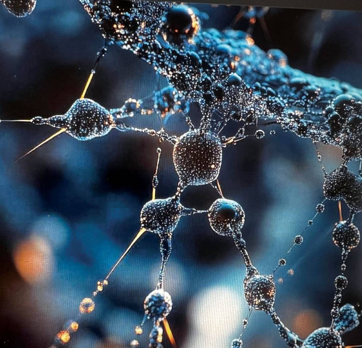 الروبوتات النانوية تطور كبير في علاج الأمراض