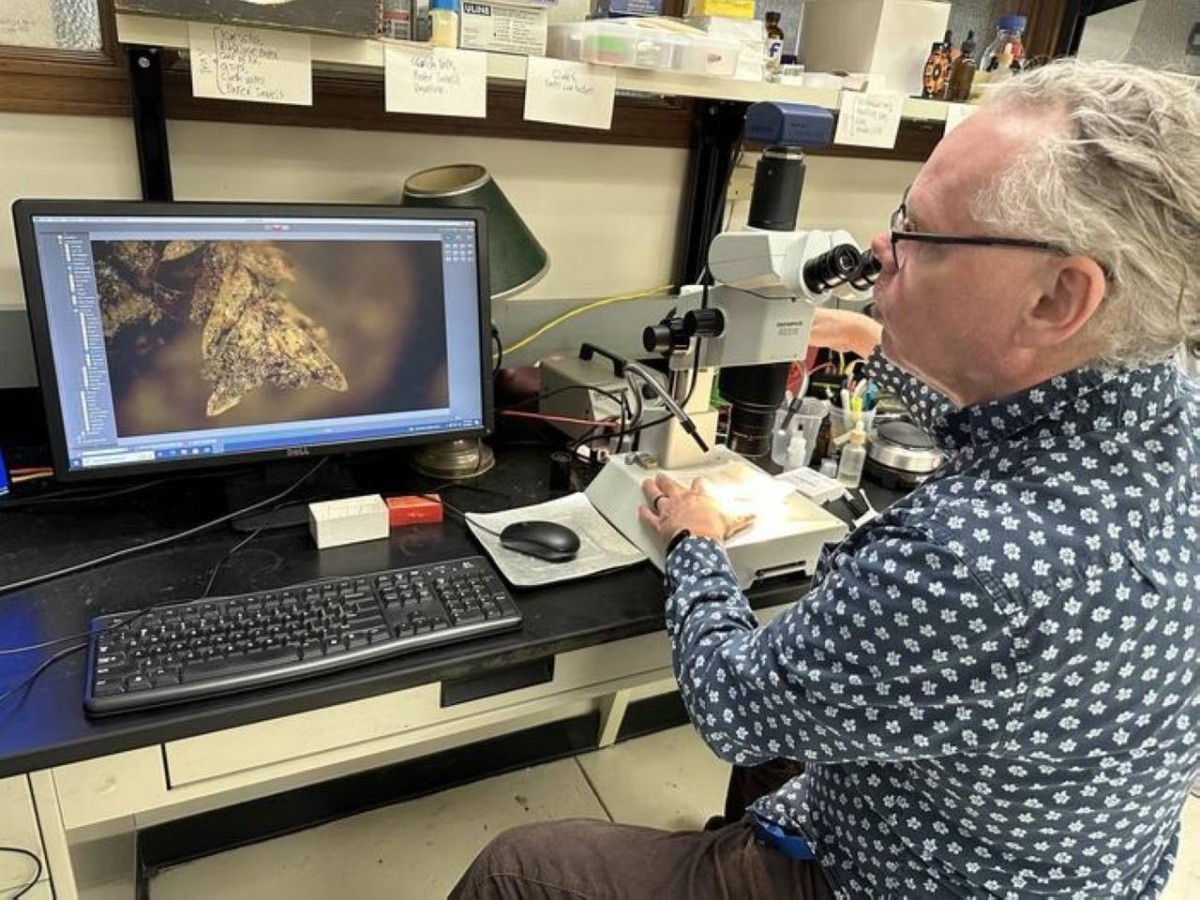 طحالب تكشف غموض جريمة «نبش قبور»