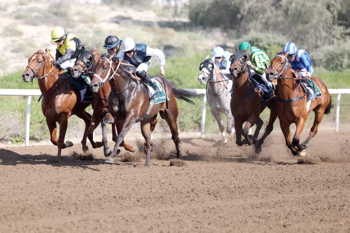 85 خيلاً في الأمسية العاشرة لمضمار جبل علي