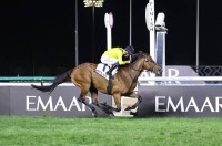 تصوير : زافير ويلسون