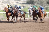 85 خيلاً في الأمسية العاشرة لمضمار جبل علي