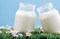 ألبان تقوي العظام