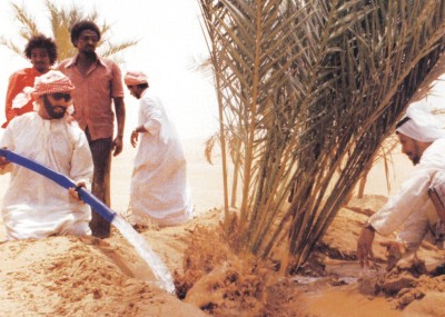 مسؤولون: الإمارات عاصمة للإنسانية والعطاء