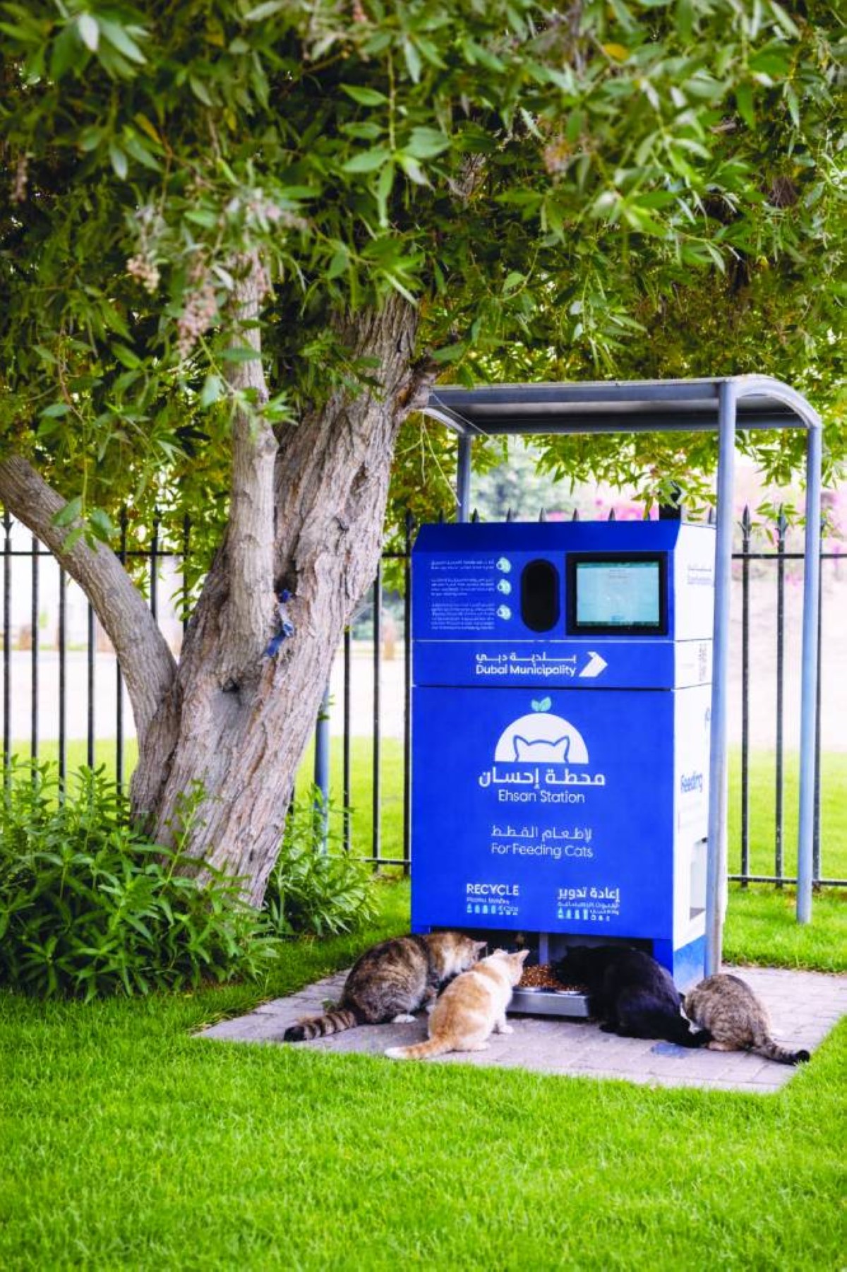 المبادرة تستهدف تحسين المشهد الحضاري 