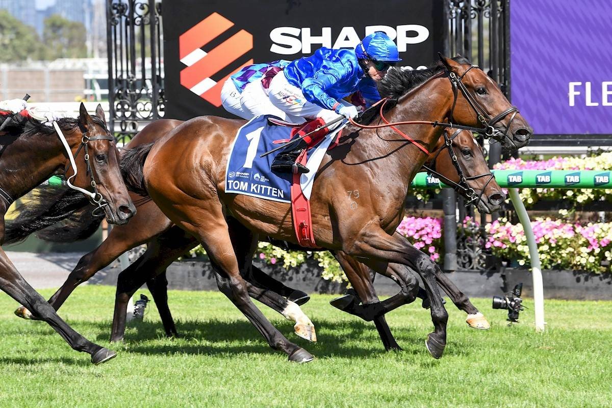 «توم كيتن» لجودلفين يرفع جوائزه لأكثر من 7.5 ملايين دولار