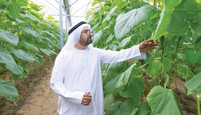 حرص على تعزيز جودة المنتجات الزراعية وتنافسيتها