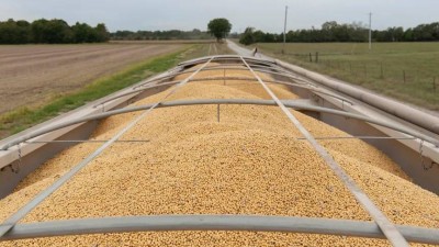 أسعار المحاصيل العالمية تقفز مع تعطل التجارة بسبب الحرب وخطر الإمدادات