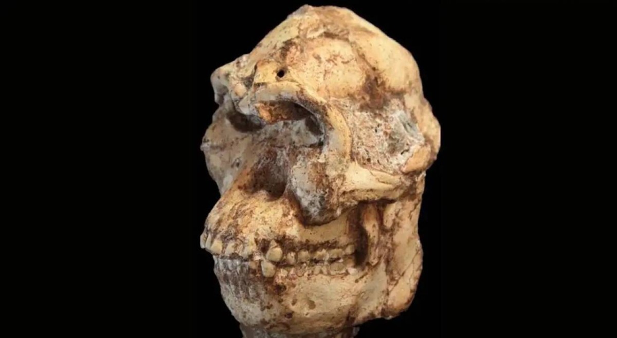 وجه من ملايين السنين