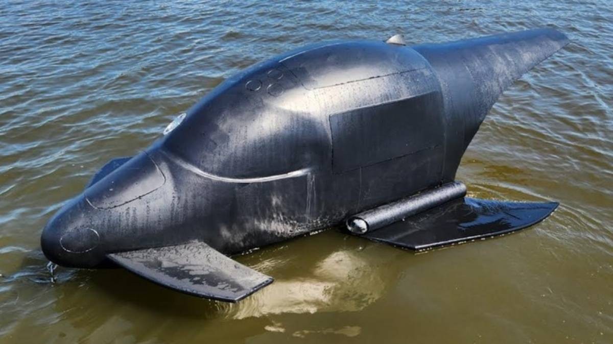 وحش البحار الخفي.. طائرة الحوت الأكثر فتكاً في المعارك البحرية