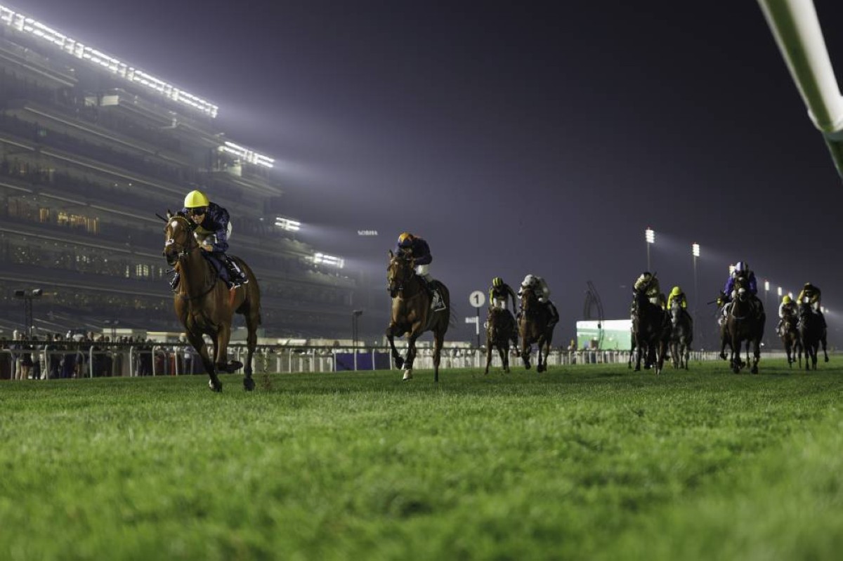 112 خيلاً تتنافس في ختام كرنفال سباقات دبي بمضمار ميدان