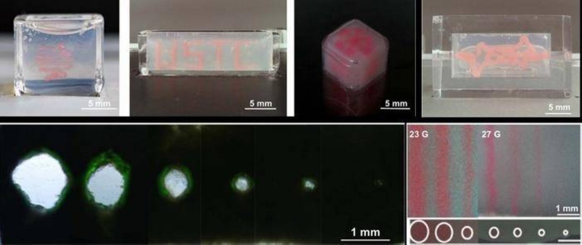 طباعة أنسجة بشرية بكثافة حقيقية