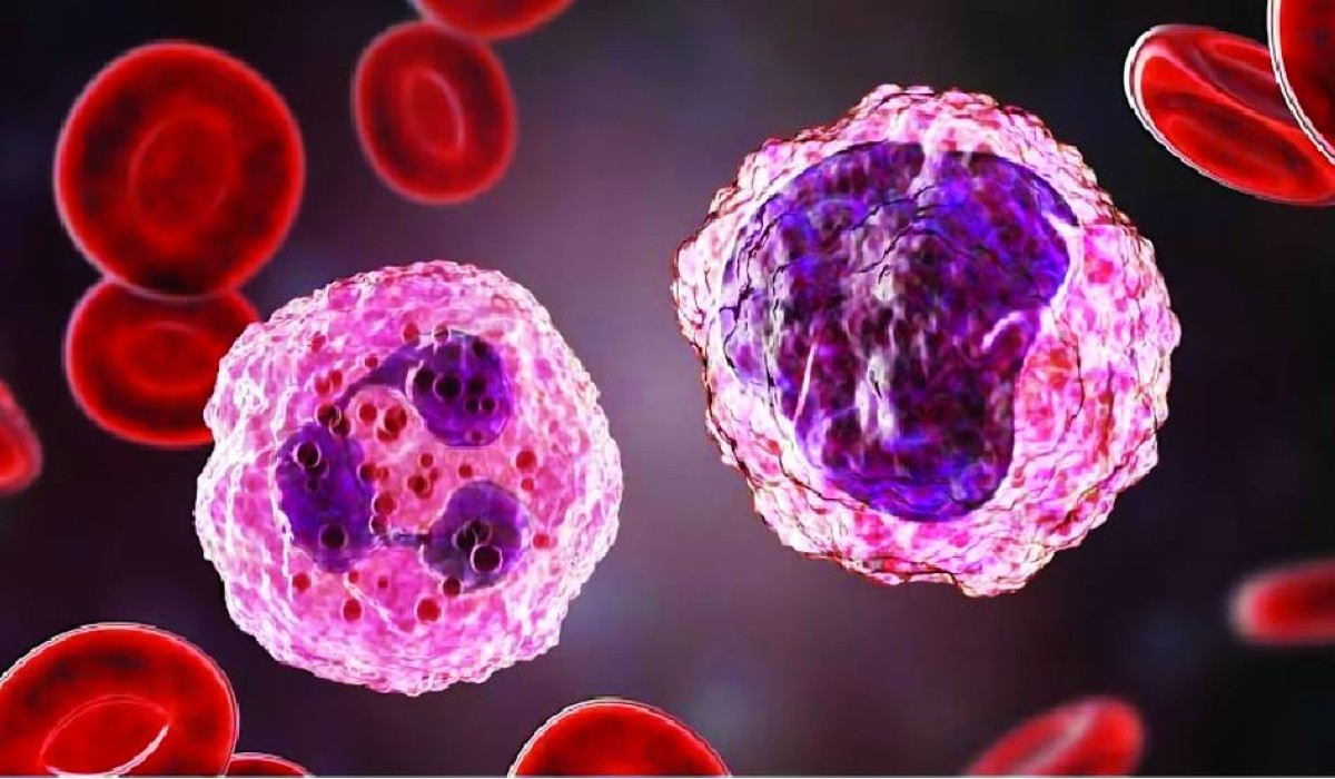 السكوت ليس من ذهب عن التأثيرات الجانبية للذكاء الاصطناعي في العلوم