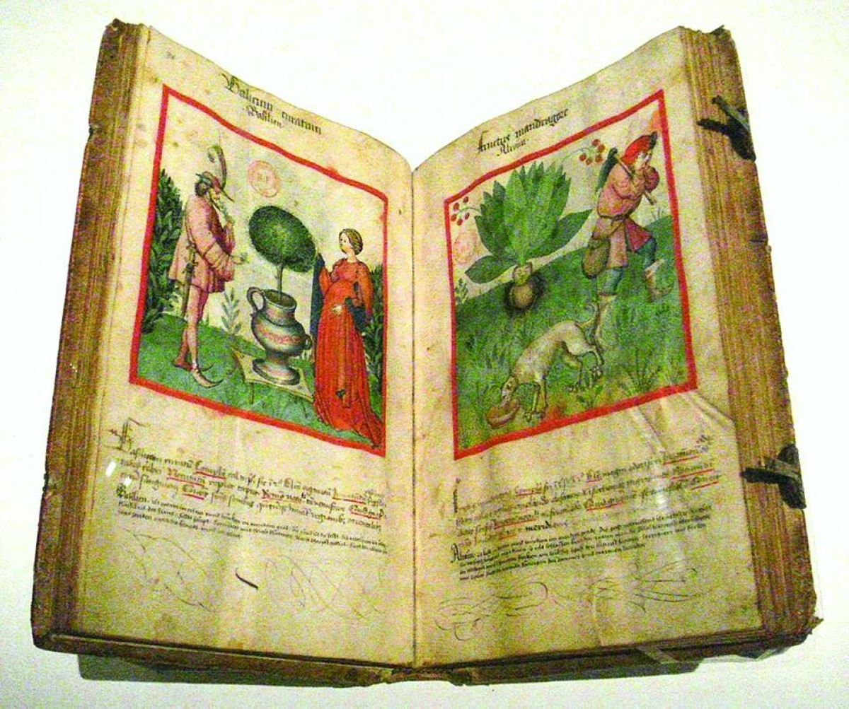 كتاب «تقويم الصحة» لابن بُطلان