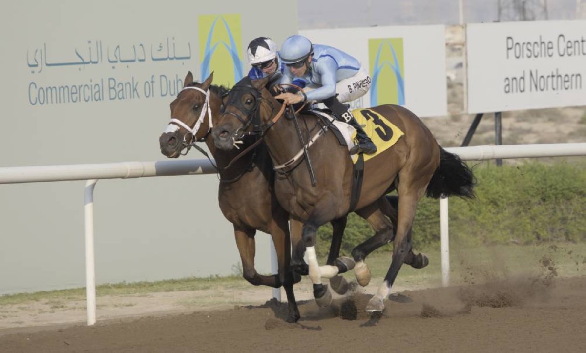 «كيبو ميساكي» يتألق في مسك ختام سباقات «جبل علي»