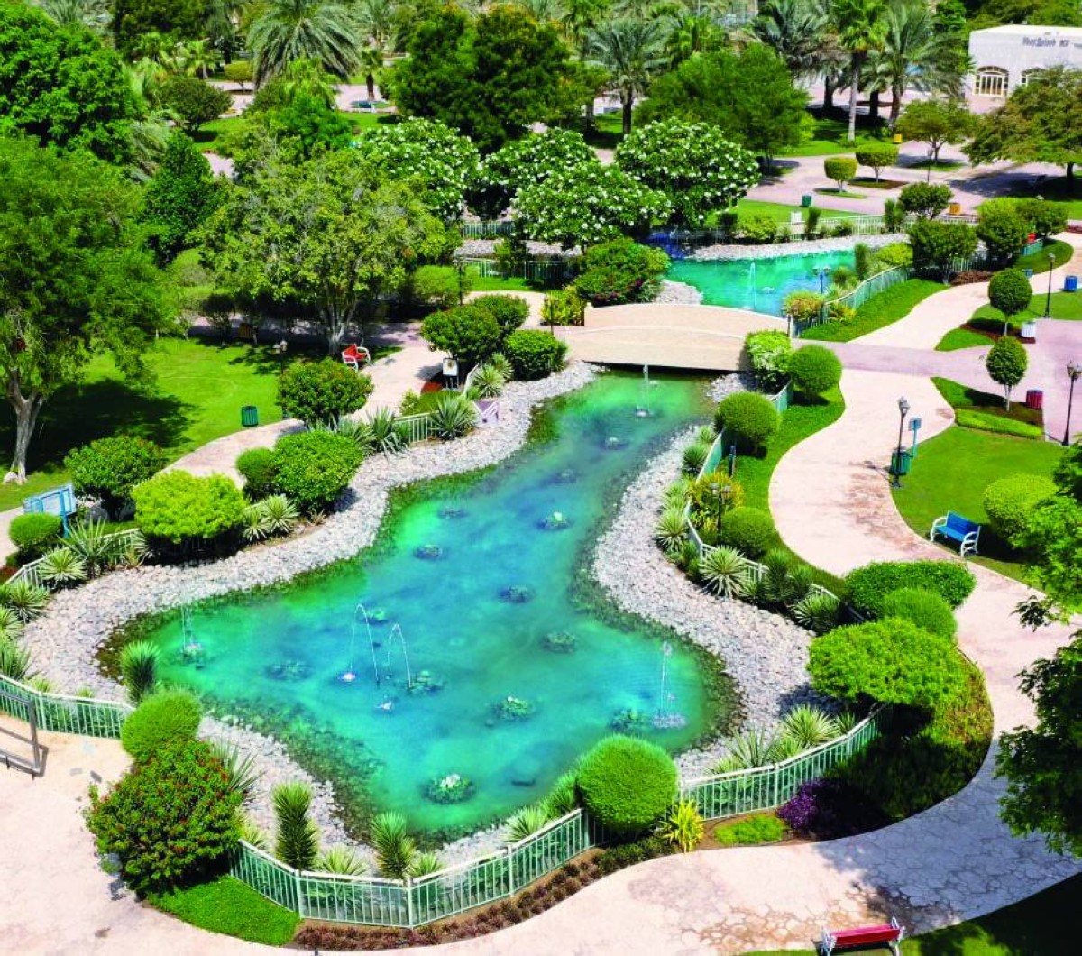 14 مليون زهرة جديدة في أبوظبي خلال 2025