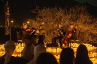 الإمارات فضاء رحب للإبداع ومنصة انطلاق النجاحات