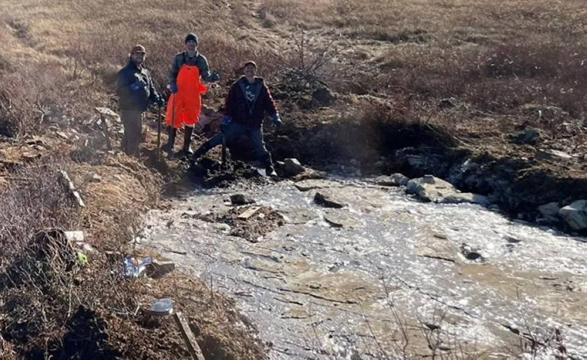 نهاية العالم المنسية.. أول انقراض جماعي على الأرض كان في وضح النهار