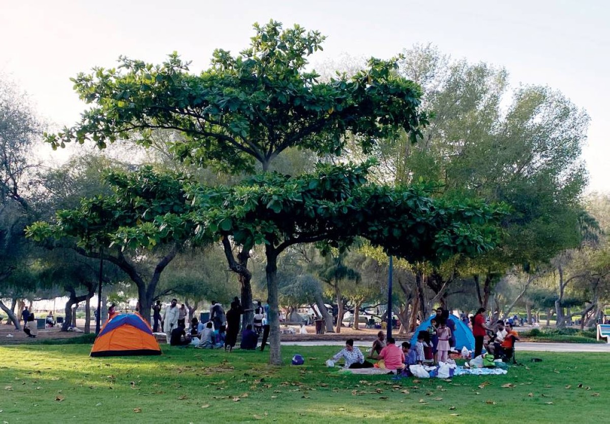 خطط تشغيلية متكاملة لضمان صحة وسلامة ورفاهية السكان | 