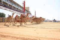 تحدي الحقايق يدشن مهرجان ختامي المرموم