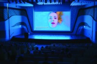 حضور لافت للفعالية