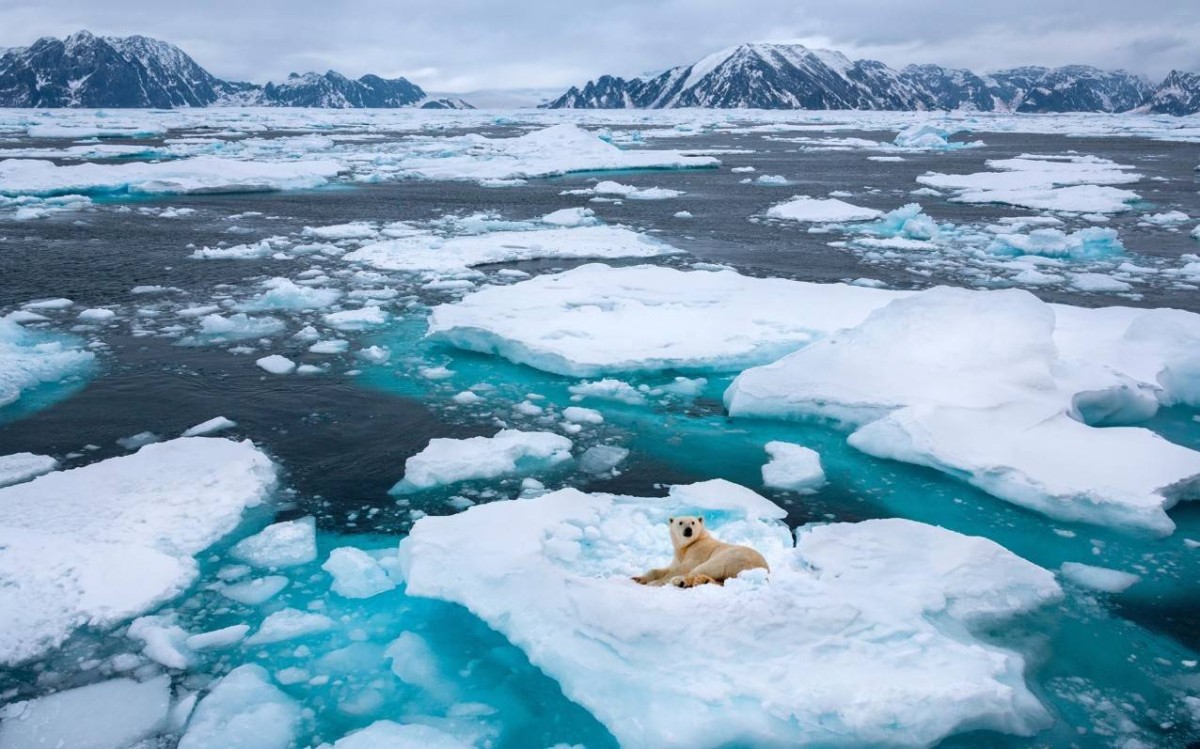 يشبه المعكرونة المغلية.. علماء يكتشفون شيئاً غريباً تحت جليد غرينلاند