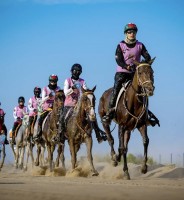 كأس السيدات تدشن مهرجان ولي عهد دبي للقدرة