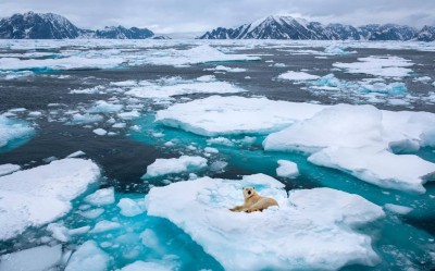 يشبه المعكرونة المغلية.. علماء يكتشفون شيئاً غريباً تحت جليد غرينلاند