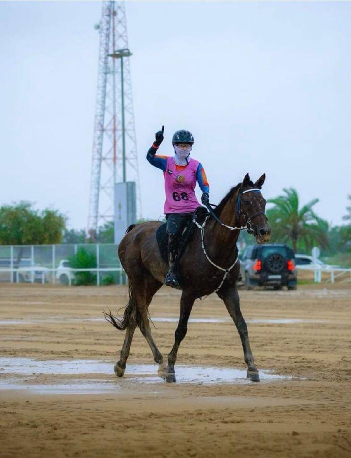 الفارسة سارة تحصد لقب السيدات في سباق القدرة بدبي