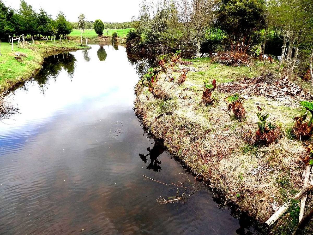 صدمة في علم الآثار.. متى وكيف وصل البشر إلى الأمريكتين؟