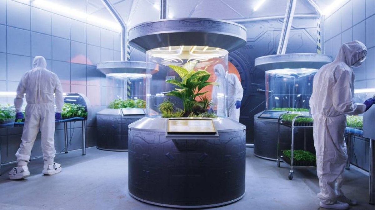 تربة المريخ.. سماد نباتات صالحة للأكل في الفضاء