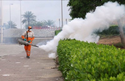 حملة لتعقيم تجمعات مياه الأمطار في الشارقة للحد من الآفات