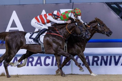 5 مدربين مواطنين ينافسون على «كحيلة كلاسيك» في كأس دبي العالمي