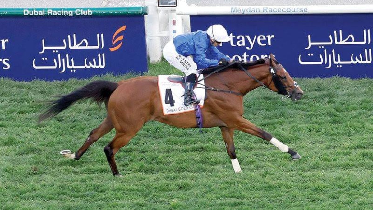 خيول الإمارات تبحث عن إنجاز جديد في كأس دبي العالمي