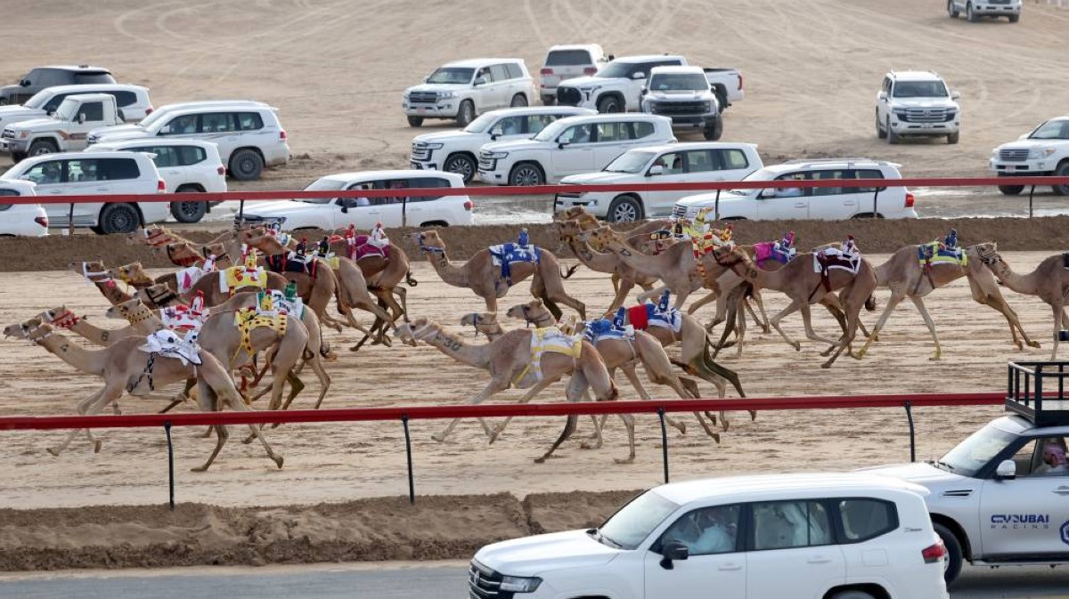 إثارة في منافسات سن الإيذاع بـ«ختامي المرموم»