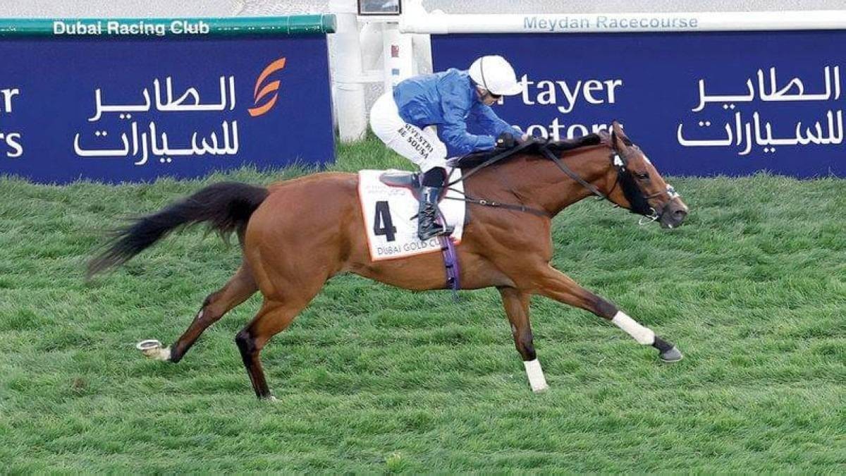 «دبي فيوتشر»