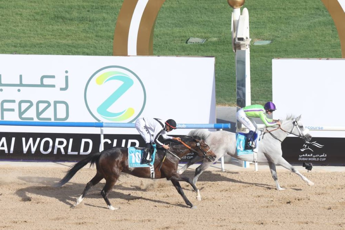 «فيرست كلاس»