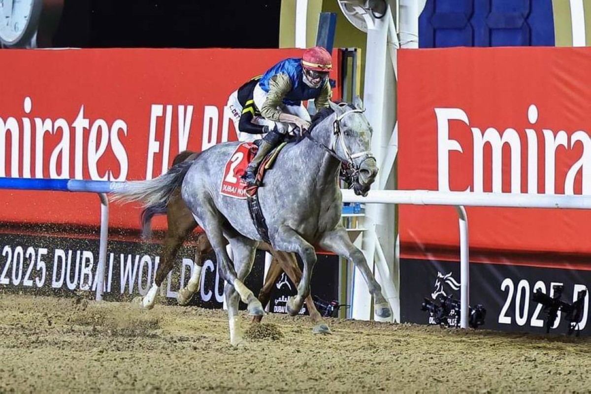 7 دول تتنافس على ذهب ميدان في كأس دبي العالمي