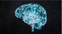 تفاعلات في أدمغتنا لأجزاء من الثانية تدير عمليات التعلم والحركة